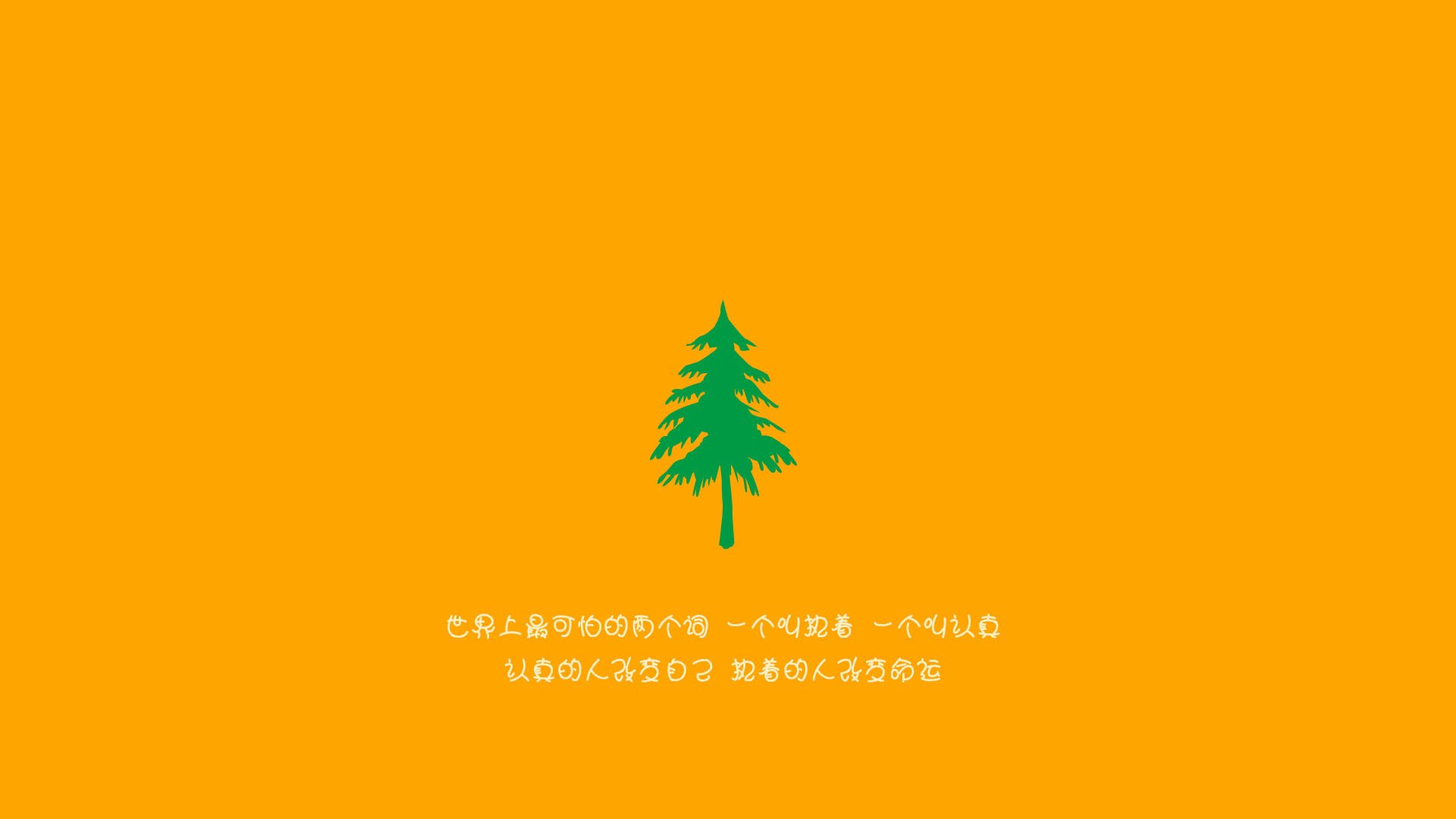 中国赛车手在国际耐力赛中夺冠，书写历史新篇章，中国 赛车手