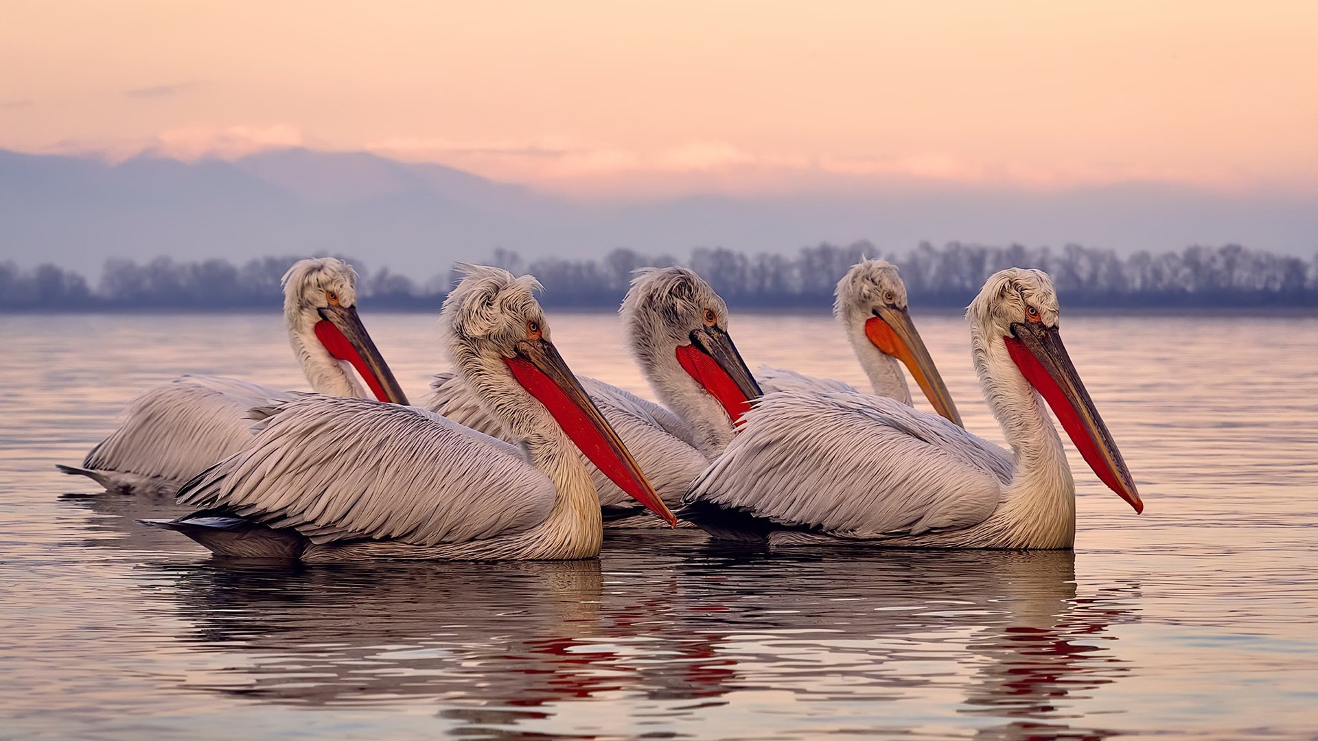 德甲豪门持续补强，中场核心引援成功，德甲豪门持续补强,中场核心引援成功了吗