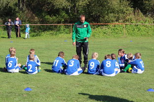 开云中国官网-德甲战术大变：变化迅速，精彩纷呈，德甲赛制介绍